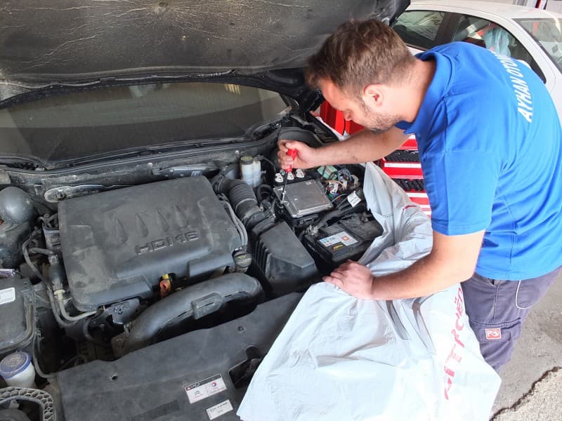 Citroen Çıkma Cam Motoru