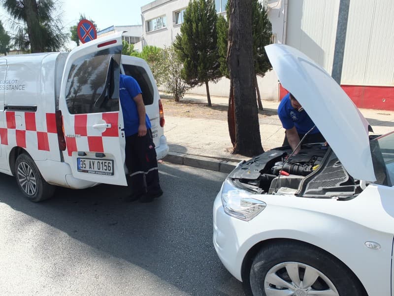 Citroen Çıkma Parça Çeşitliliği