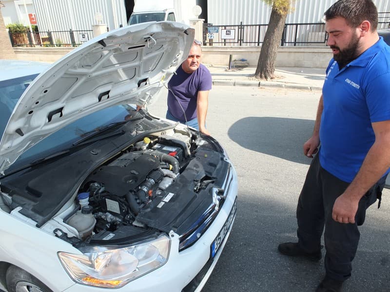 Citroen Çıkma Boyalı Parça Renk Uyumu